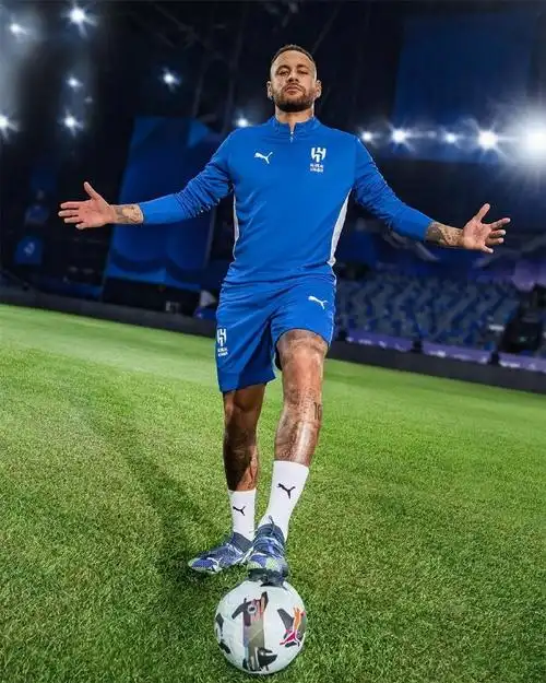 而不仅仅是 而不仅仅是