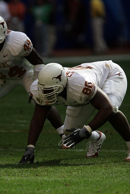 球迷的期待 球迷的期待